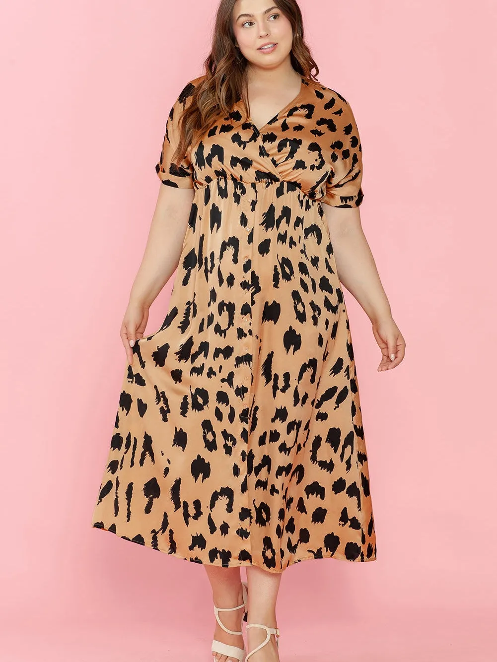 A-Line Leopard Print Dress