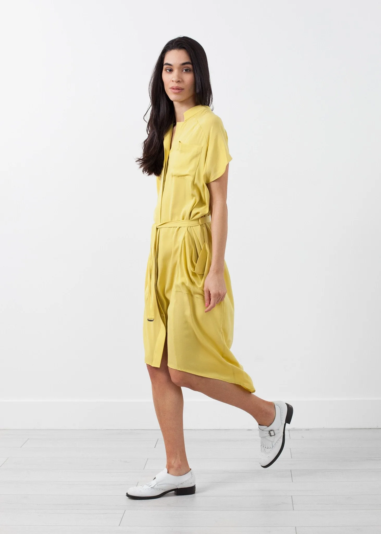 Ultime Silk Shirt Dress